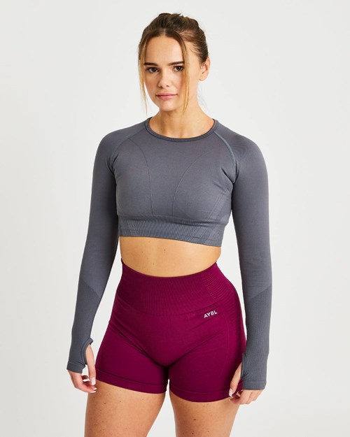 AYBL Balance V2 Seamless Long Sleeve Crop Top Gris | EIHOG4365