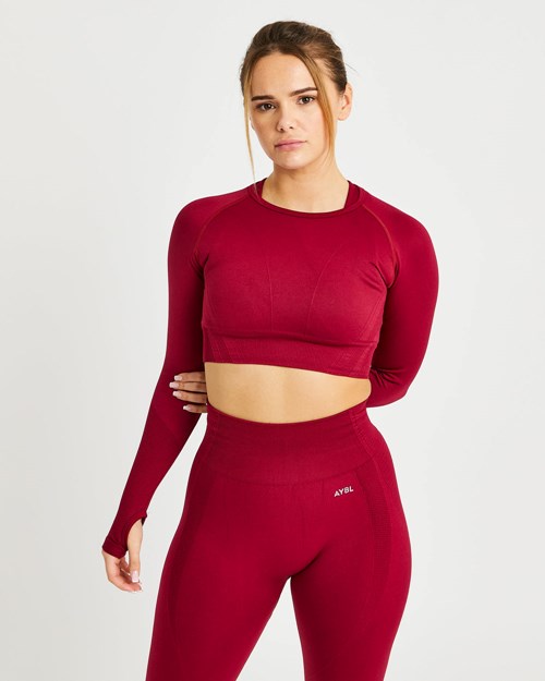 AYBL Balance V2 Seamless Long Sleeve Crop Top Rojas | TAUMB1468