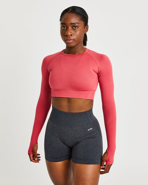 AYBL Balance V2 Seamless Long Sleeve Crop Top Rosas | XIPBH9816