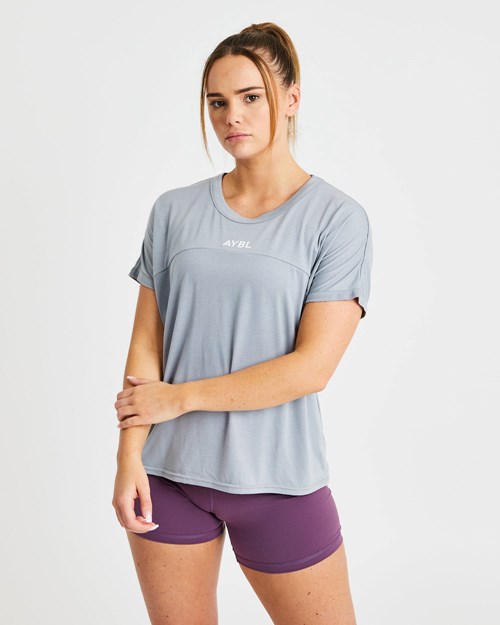 AYBL Boxy T Shirt Gris | LQXPU2407