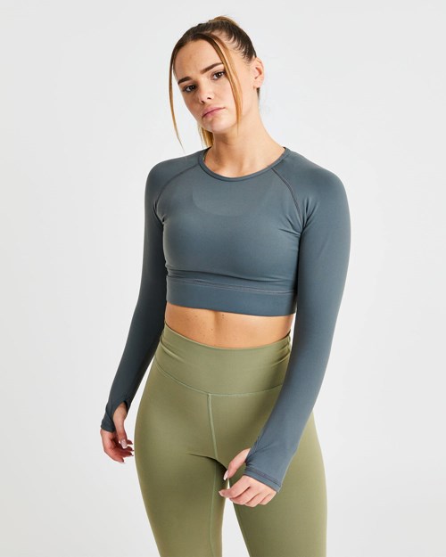 AYBL Core Long Sleeve Crop Top Gris | CGHDJ7305