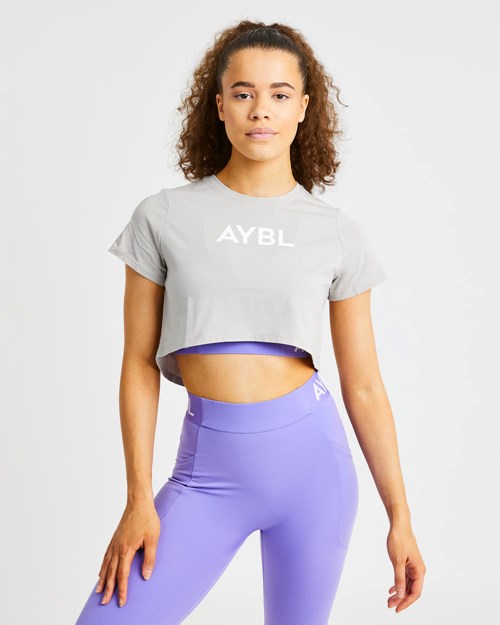 AYBL Crop T Shirt Gris | NZAHB1709