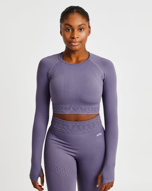 AYBL Elevate Seamless Long Sleeve Crop Top Moradas | DSRLC2147