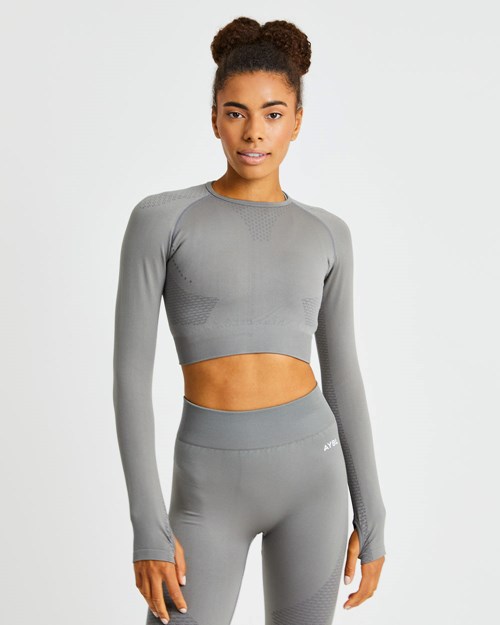 AYBL Ignite Seamless Long Sleeve Crop Top Gris | ISUCF2037