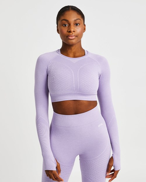 AYBL Impact Seamless Long Sleeve Crop Top Lilac | BZKGR1953