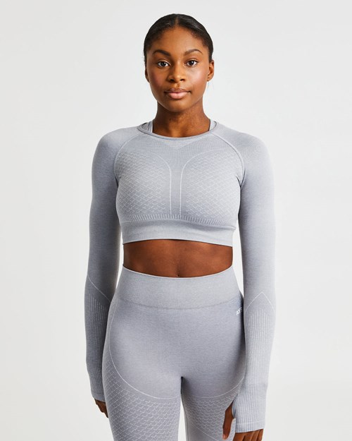 AYBL Impact Seamless Long Sleeve Crop Top Gris | PSURF1395