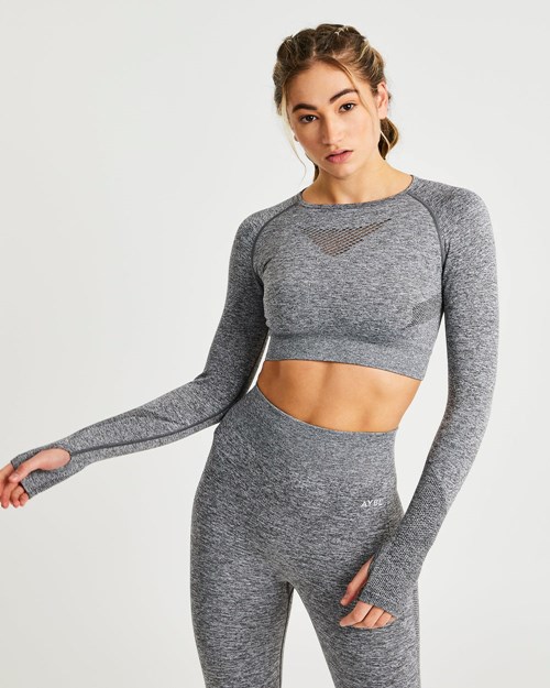 AYBL Motion Seamless Long Sleeve Crop Top Gris | ARBVG4239