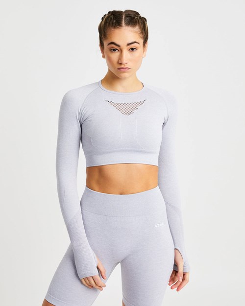 AYBL Motion Seamless Long Sleeve Crop Top Gris Claro | GPJTO7891