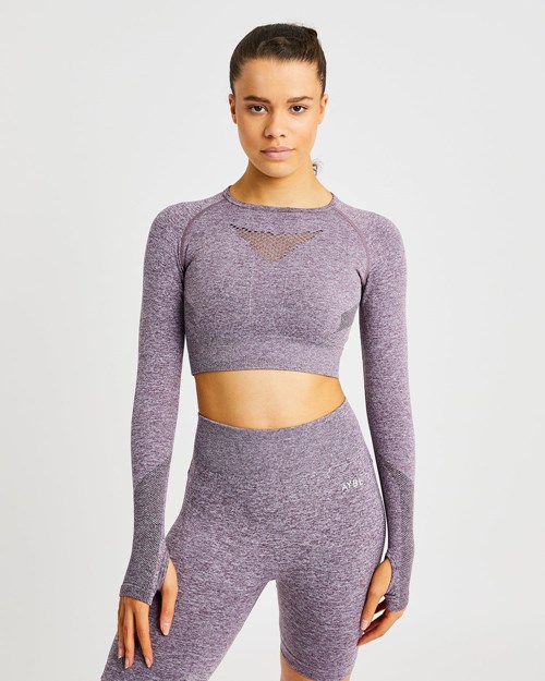 AYBL Motion Seamless Long Sleeve Crop Top Moradas | UQXNZ1840