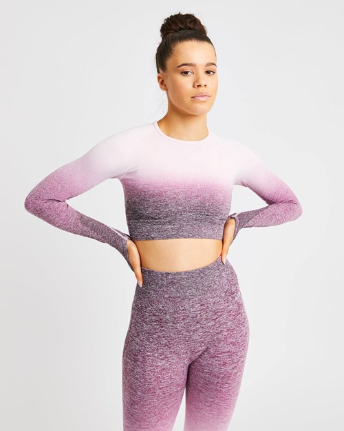 AYBL Pulse Ombré Seamless Long Sleeve Crop Top Plum | SHAPR7231