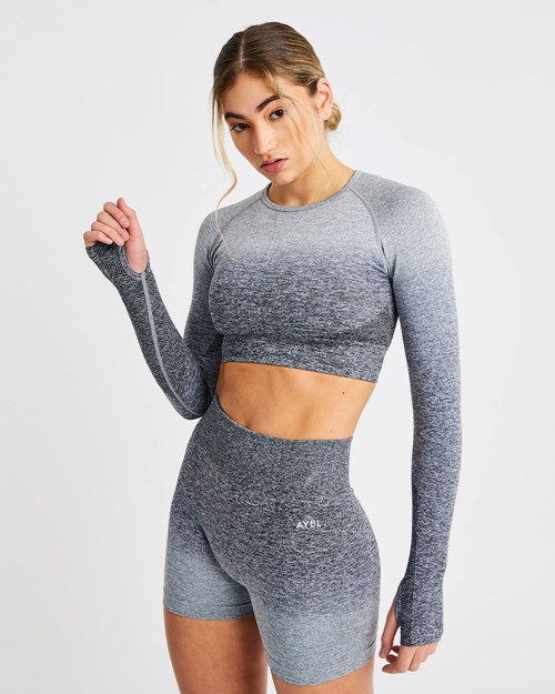 AYBL Pulse Ombré Seamless Long Sleeve Crop Top Gris | XFKOY2648