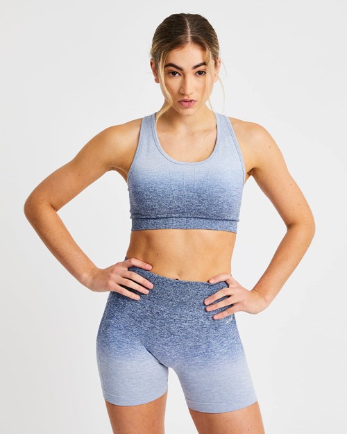 AYBL Pulse Ombré Seamless Sports Bra Azul Marino | RBOWQ2918