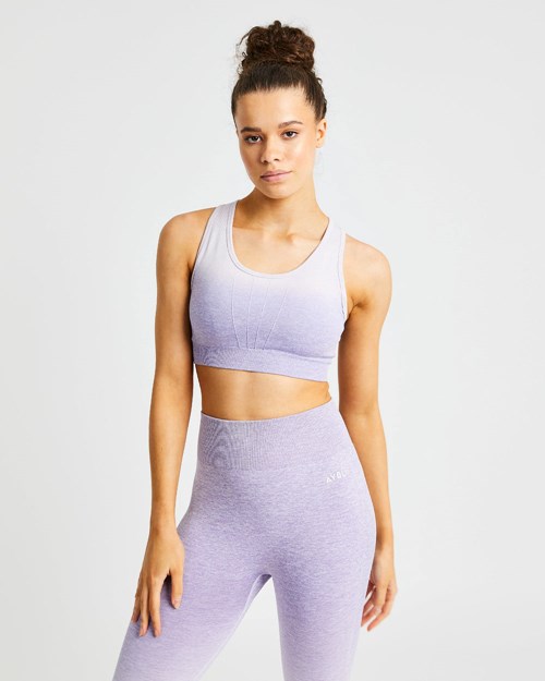 AYBL Pulse Ombré Seamless Sports Bra Lilac | OLGBY0329