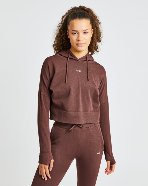 AYBL Recovery Hoodie Chocolate Marrones | BHGQY6214