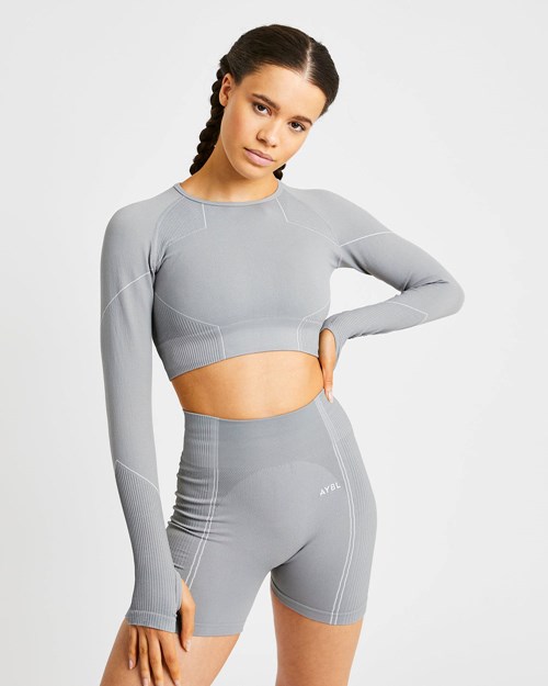 AYBL Reflex Seamless Long Sleeve Crop Top Gris | TCVRW2938