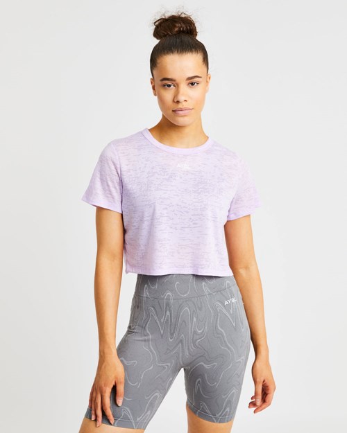 AYBL Velocity Crop T Shirt Lilac | VAITC8510