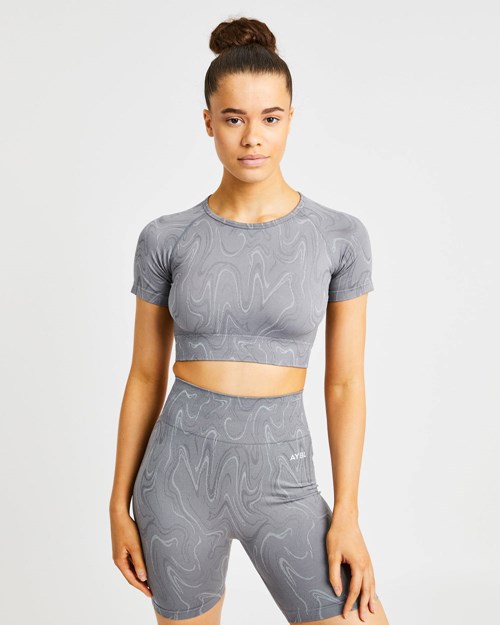 AYBL Velocity Seamless Crop Top Gris | QNJYS5628