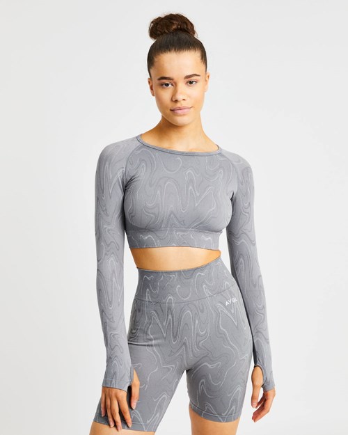 AYBL Velocity Seamless Long Sleeve Crop Top Gris | EOJCM9302