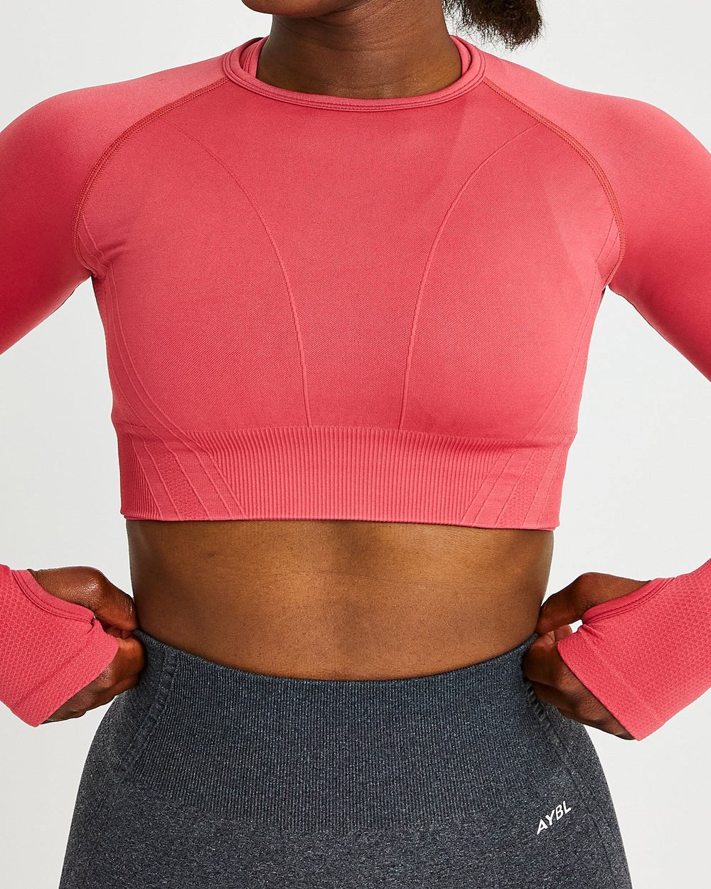 AYBL Balance V2 Seamless Long Sleeve Crop Top Rosas | HICPE9438