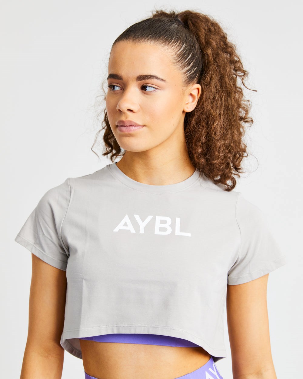 AYBL Crop T Shirt Gris | PIWFO5972