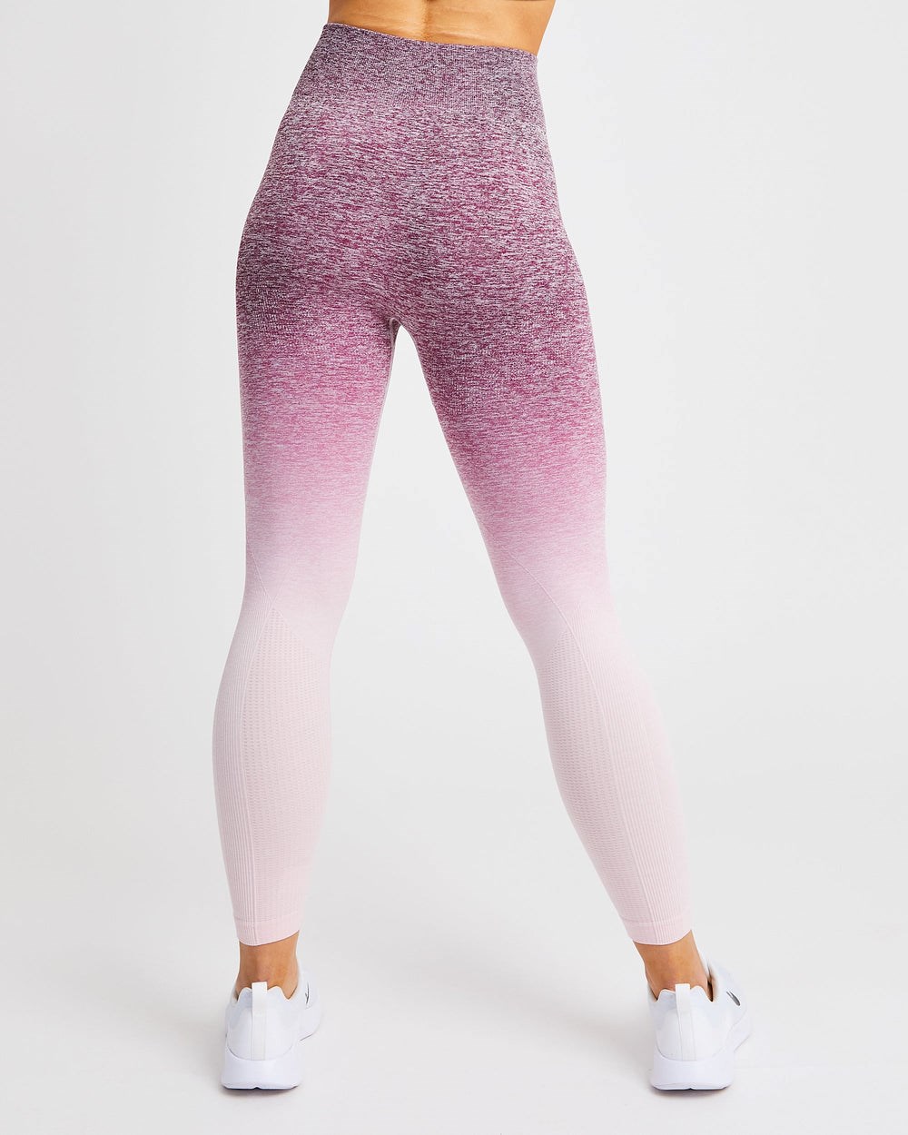 AYBL Pulse Ombré Seamless Leggings Plum | PWFVK2438