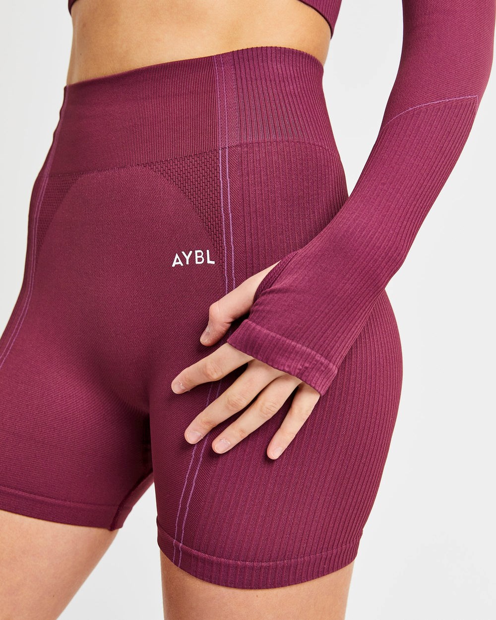 AYBL Reflex Seamless Long Sleeve Crop Top Plum | CJZOP1239