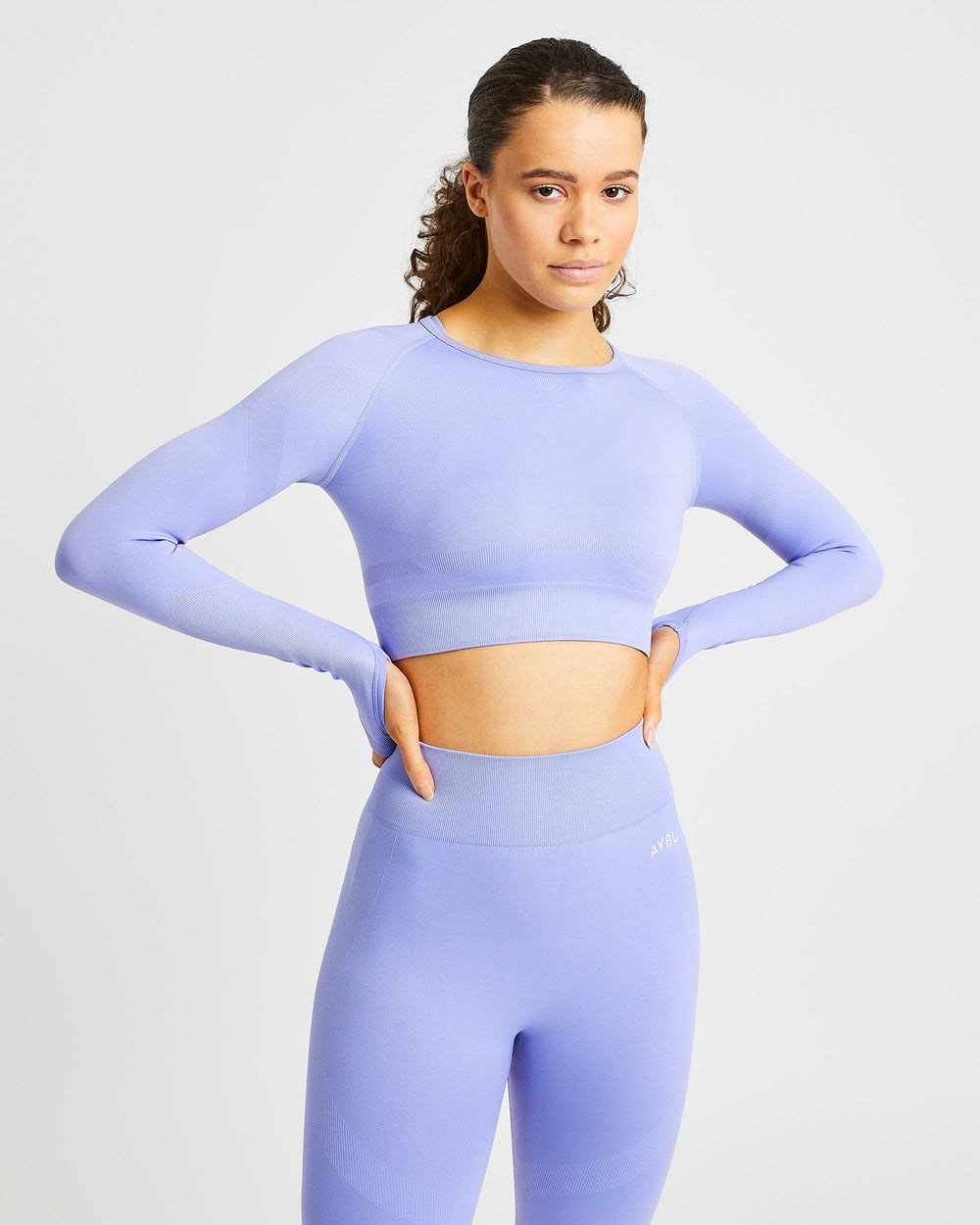 AYBL Reform Seamless Long Sleeve Crop Top Moradas | PALUZ1520